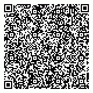 vCard 79665550311