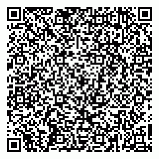 vCard 79665550331