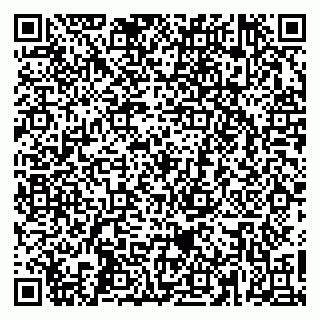 vCard 79665550333