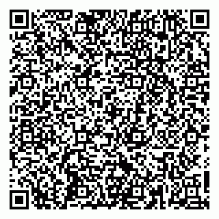 vCard 79665550335