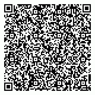 vCard 79665550379