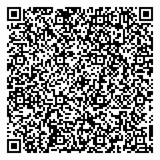 vCard 79665550384
