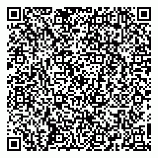 vCard 79665550385