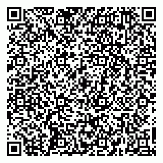 vCard 79665550390