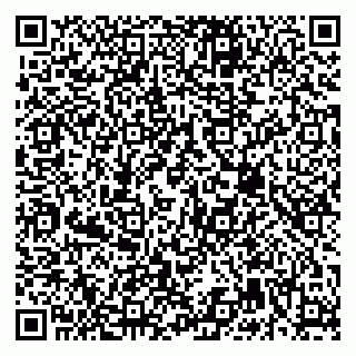 vCard 79666000413