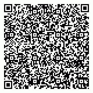 vCard 79666660313