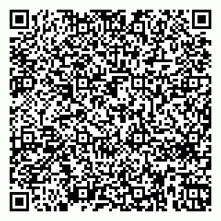 vCard 79666660352