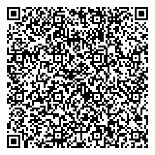 vCard 79667000331