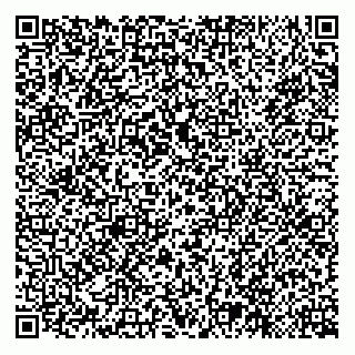 vCard 79677691995