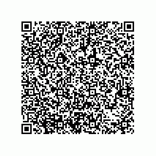 vCard 79677880391