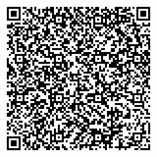 vCard 79678000173