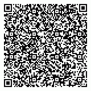 vCard 79678000399