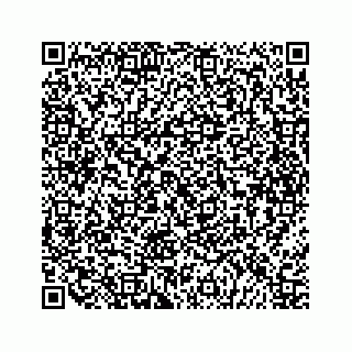 vCard 79678960299