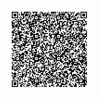 vCard 79678960301