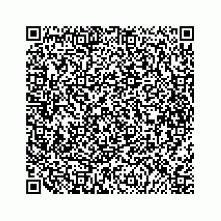 vCard 79678960308