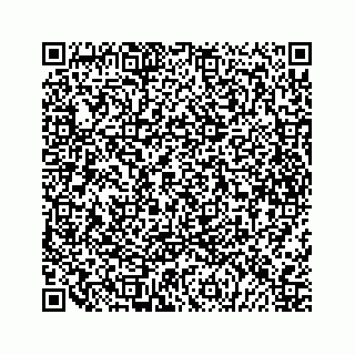 vCard 79678960374