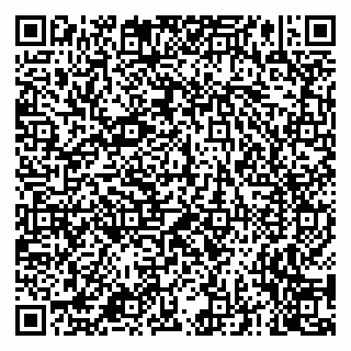 vCard 79681000539