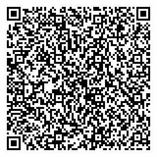 vCard 79681003133