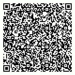vCard 79681100331