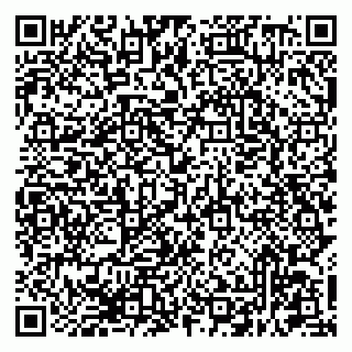 vCard 79681390379