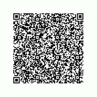 vCard 79681500119