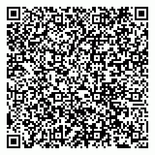 vCard 79681700131