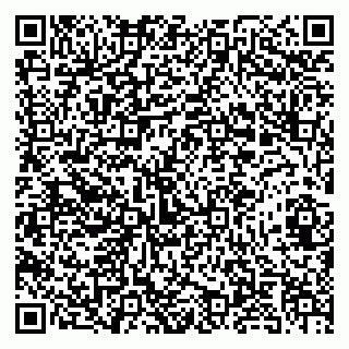 vCard 79693001631