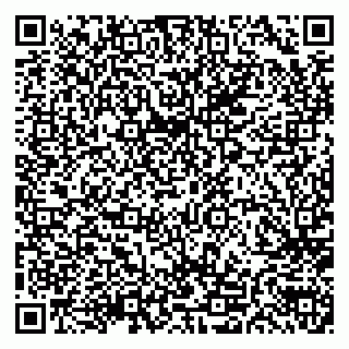 vCard 79696300020