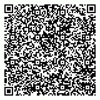 vCard 79696300288