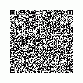 vCard 79698200313