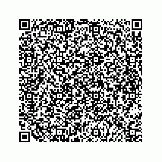 vCard 79698200321