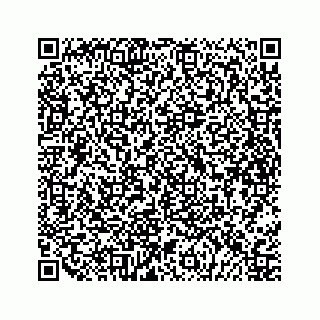 vCard 79698200331