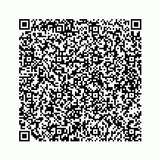 vCard 79698200380
