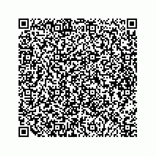 vCard 79698200399