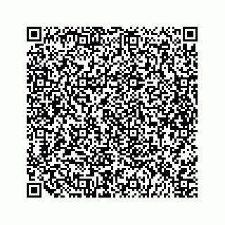 vCard 79698204003