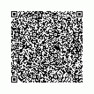 vCard 79698204004