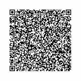 vCard 79698204011
