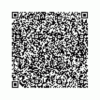vCard 79698204017