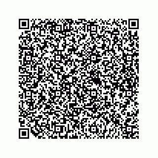 vCard 79698204027