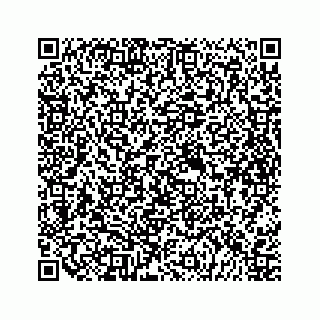vCard 79698204031