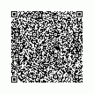 vCard 79698204041