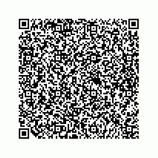 vCard 79698204063