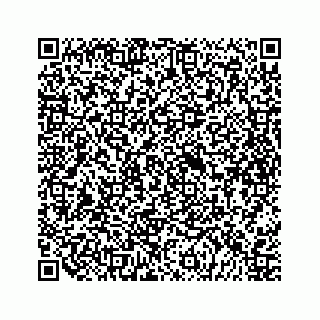 vCard 79698204071