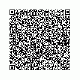 vCard 79698204131