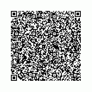 vCard 79698204133