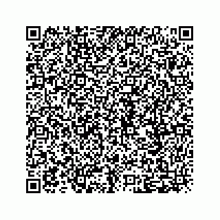 vCard 79698204224