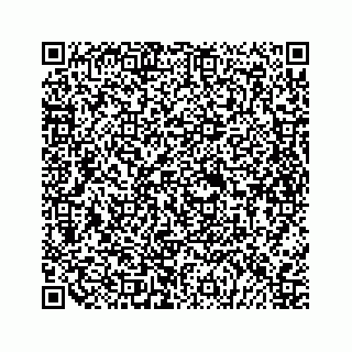 vCard 79698204331