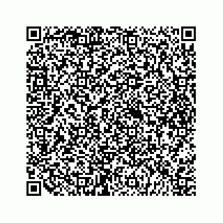vCard 79698206003