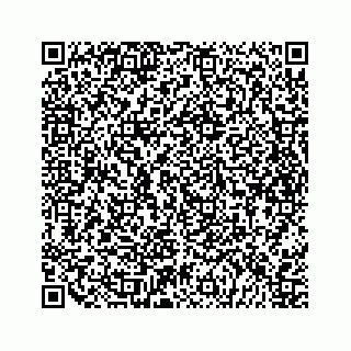 vCard 79698206033