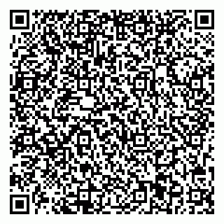 vCard 79703001339